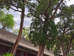 -窦大夫祠