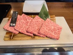 -俺的焼肉(銀座9丁目店)