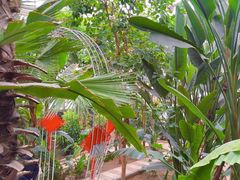 -石家庄市植物园