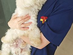 -福懋动物医院·犬猫全科·外科·重症科(杏林分院)