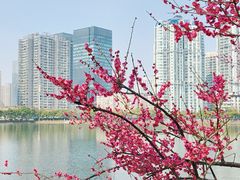 -西北湖绿化广场