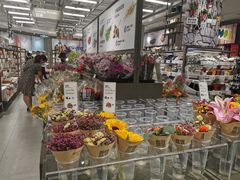 -鹿岛生活(熙地港店)
