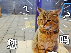 -大学习巷清真寺