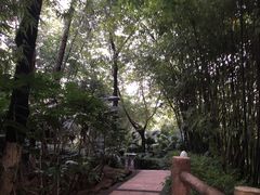 -百林公园-两江幸福广场