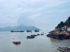 -北岐滩涂