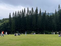 -深圳仙湖植物园