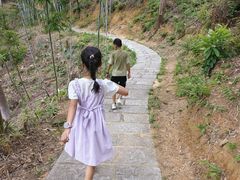 -水濂山森林公园