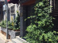-四喜小胖·北京涮肉(五道营店)