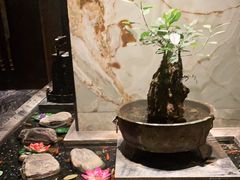 -南堂館川菜文化餐厅(天府店)