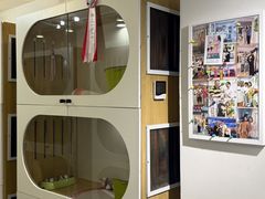 -青奢宠物·青奢猫舍