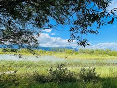 -野鸭湖国家湿地公园