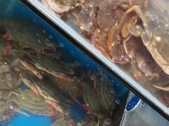 -宾朋海鲜特色美食餐厅·纯手工鲅鱼水饺(兴海路店)