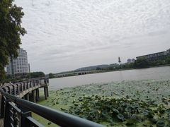 -武汉大学中南医院(总院区)