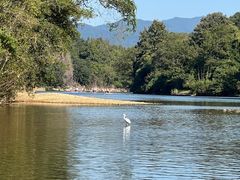 -九曲溪竹筏码头