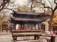 -护国法轮寺