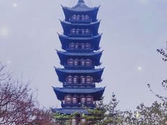-上海方塔园