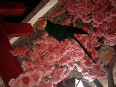 -蓝鲸湾汤泉(包河店)