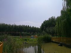 -仁和公园(顺义区)