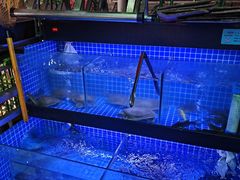 -黑牛码头·小龙虾·烧烤