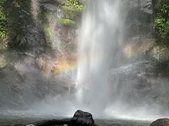 -莫里热带雨林景区