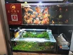 -后院犇牛主题餐厅(云岗店)