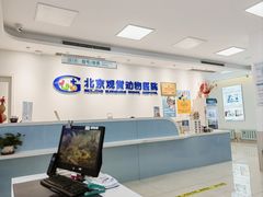 -北京观赏动物医院·24小时大型综合·猫专科·异宠专科