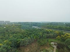 -南阳建业森林半岛假日酒店