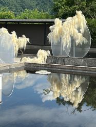-Sunny喜铺婚礼定制·求婚策划