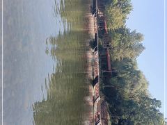 -九曲溪竹筏码头