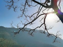 -妙峰山风景名胜区