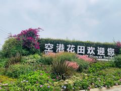 -空港花田景区