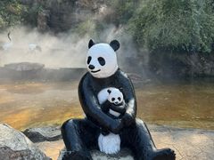 -成都动物园