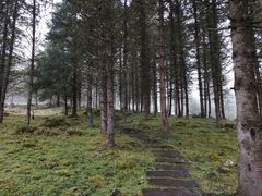 -硗碛藏寨·神木垒景区