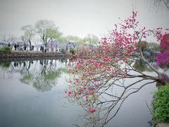-无锡蠡湖国家湿地公园-蠡园