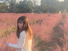 -鹅湖玫瑰文化园
