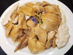 -明本湛江鸡•海鲜小厨(陈家祠店)