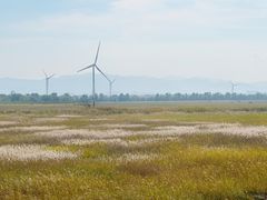 -野鸭湖国家湿地公园
