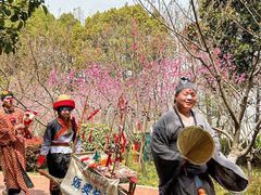 -金鸡湖桃花岛