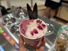 -莉莉熊Lililove Gelato (意大利手工冰淇淋)