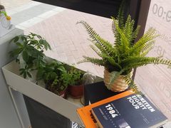 -卖呆儿咖啡(望京店)