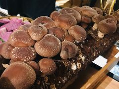 -大头椰·椰子鸡火锅(南宁万象城店)