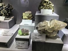 -湖南省地质博物馆