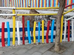 -西部长青自然儿童乐园