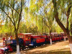 -永定河休闲森林公园