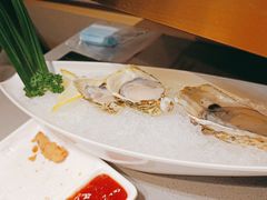 精品生蚝-海底捞火锅(金光华店)