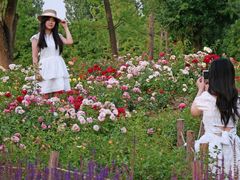 -汉长安城未央宫国家考古遗址公园