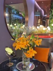 -花隐·美芙炫海菲秀皮肤管理中心