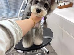 -帕帕拉兹宠物(亚洲旗舰店)