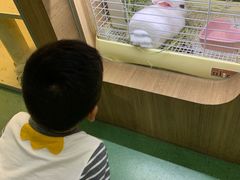 -藦茜花园宠物主题亲子互动体验馆(国顺东路店)