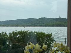 -湖畔居茶楼(湖滨店)